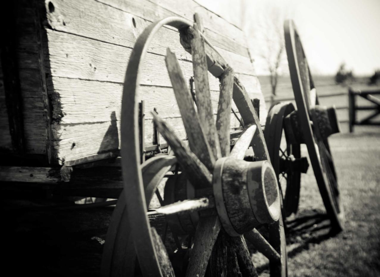 如何选择最适合自己的技术支持技巧