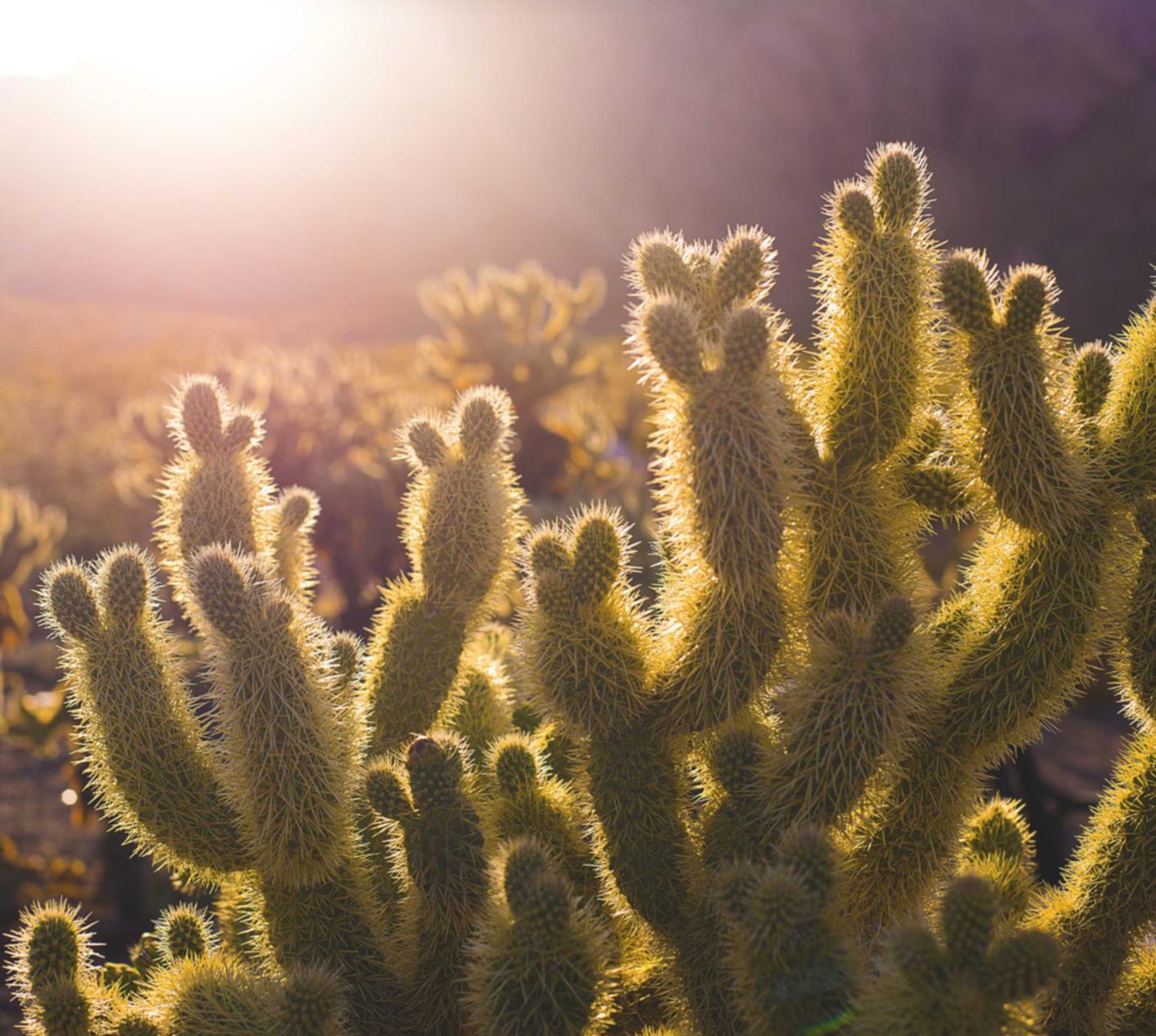在线DDOS压力测试网页端|如何使用密码保护您的数据库