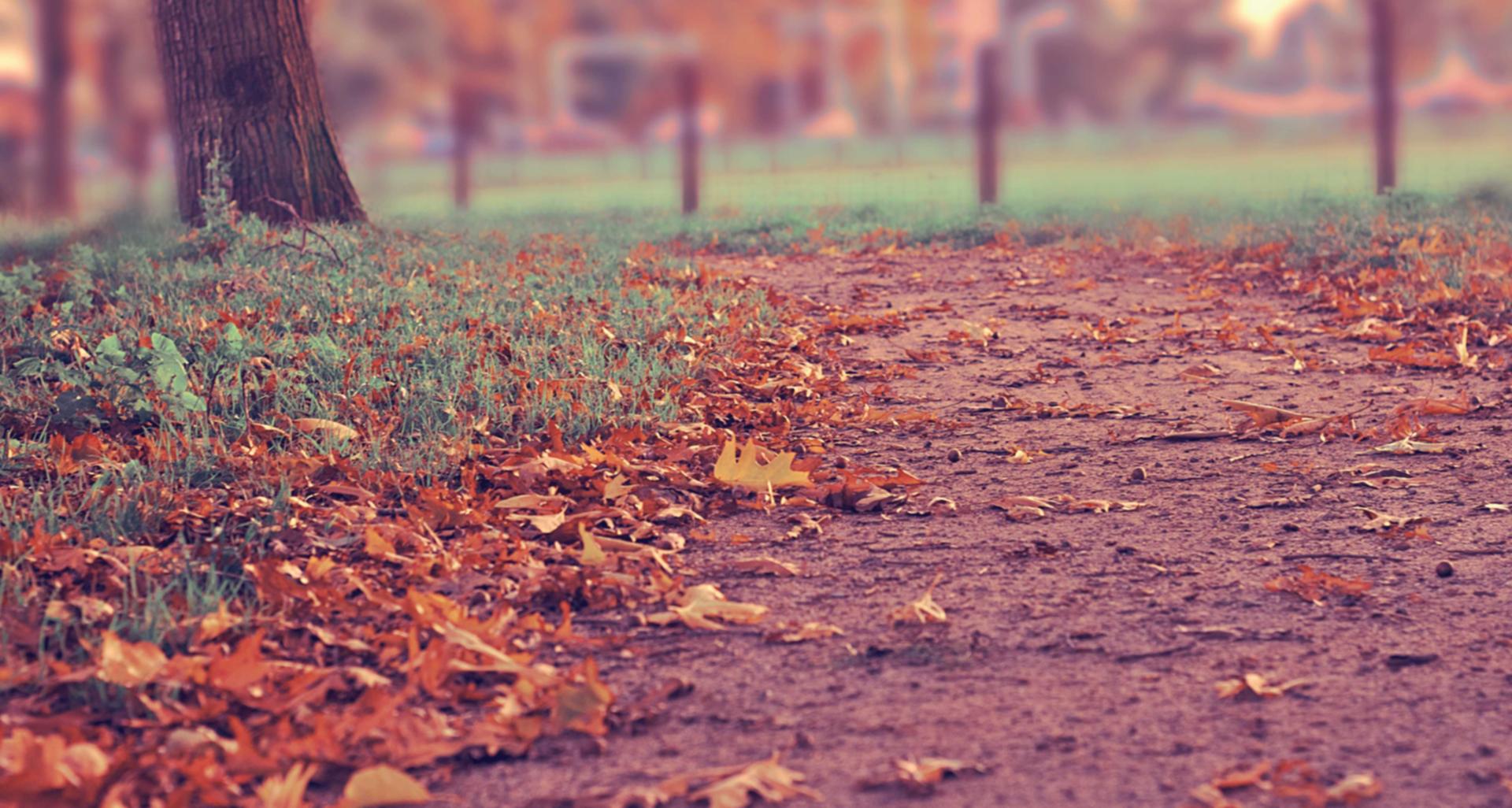 七星柔和4mg：广州公寓购买平台