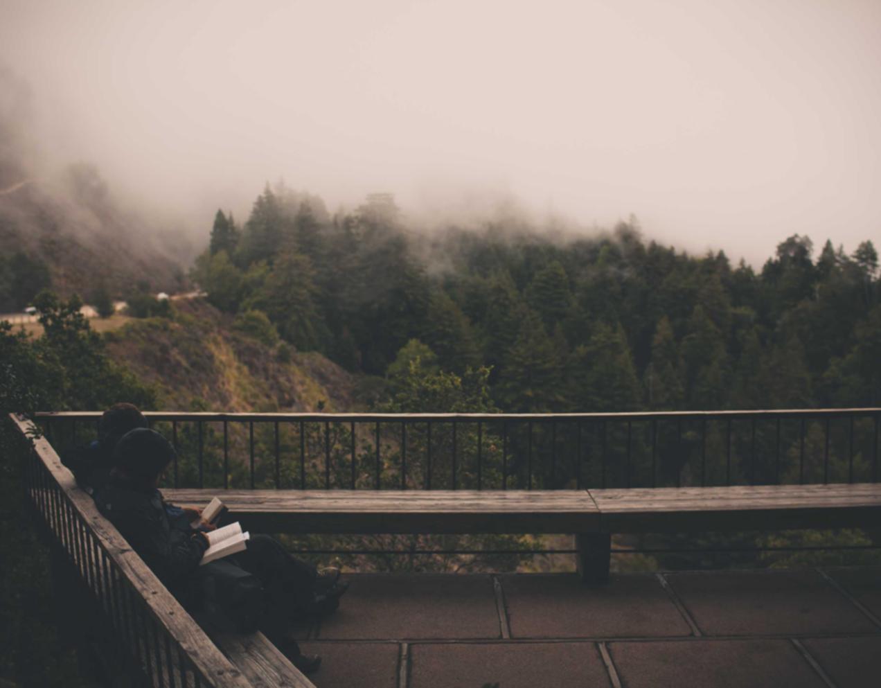 聚名实名账号：网件路由器app详情下载教程