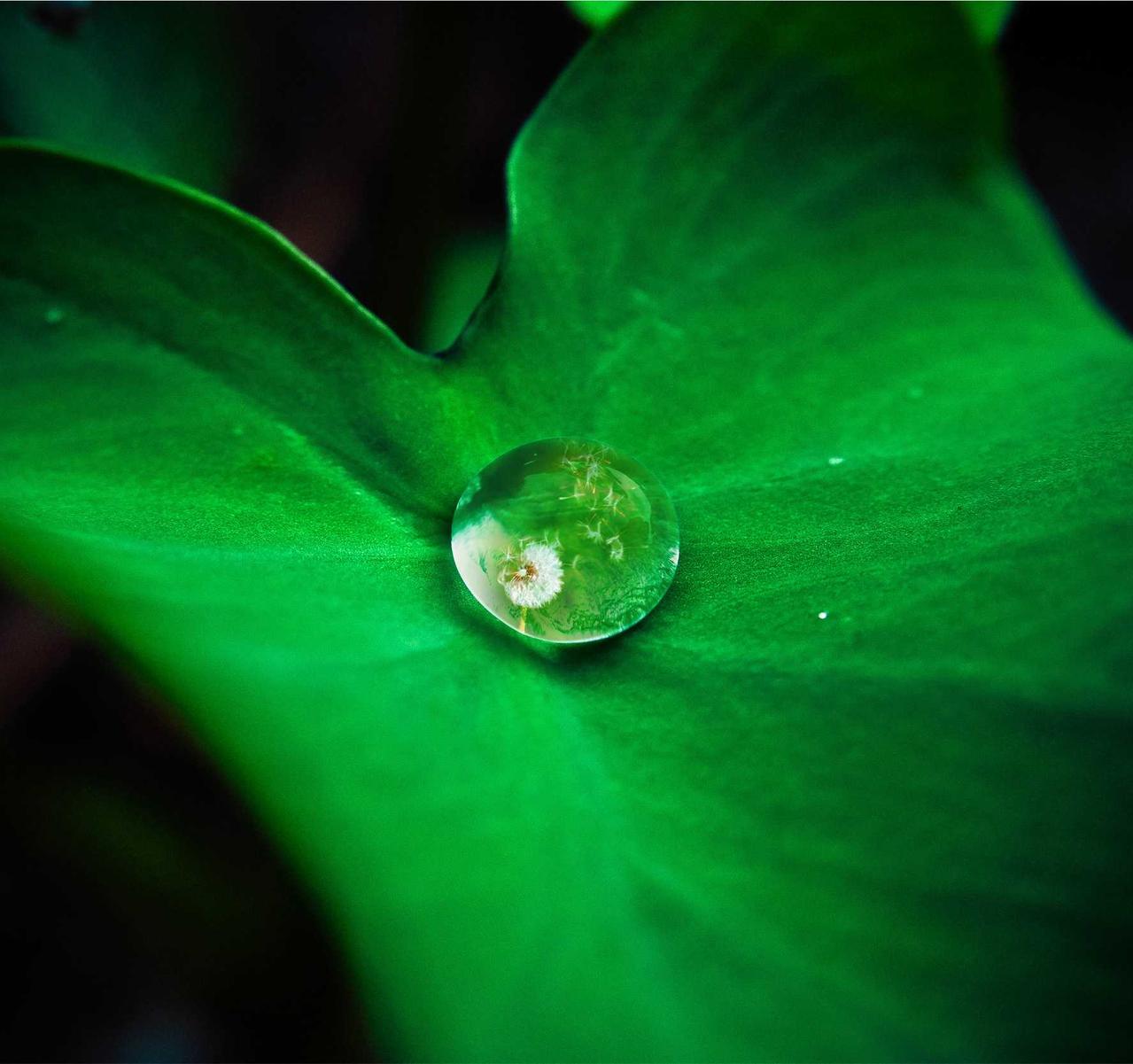 租微信号：aa出行平台代理加盟