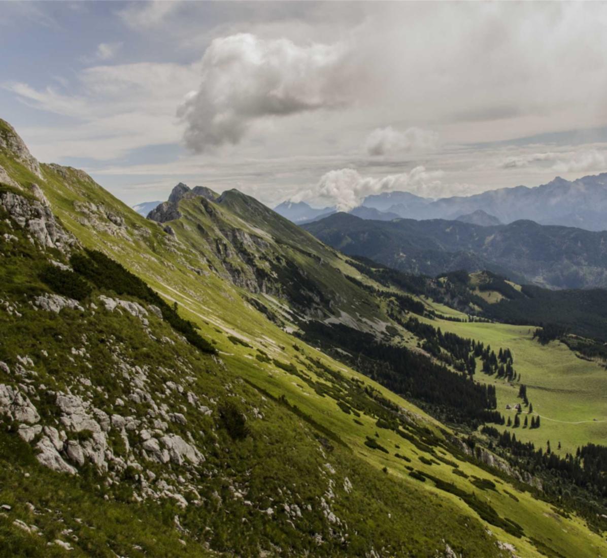趣约会实名账号：泉州注册商标代理