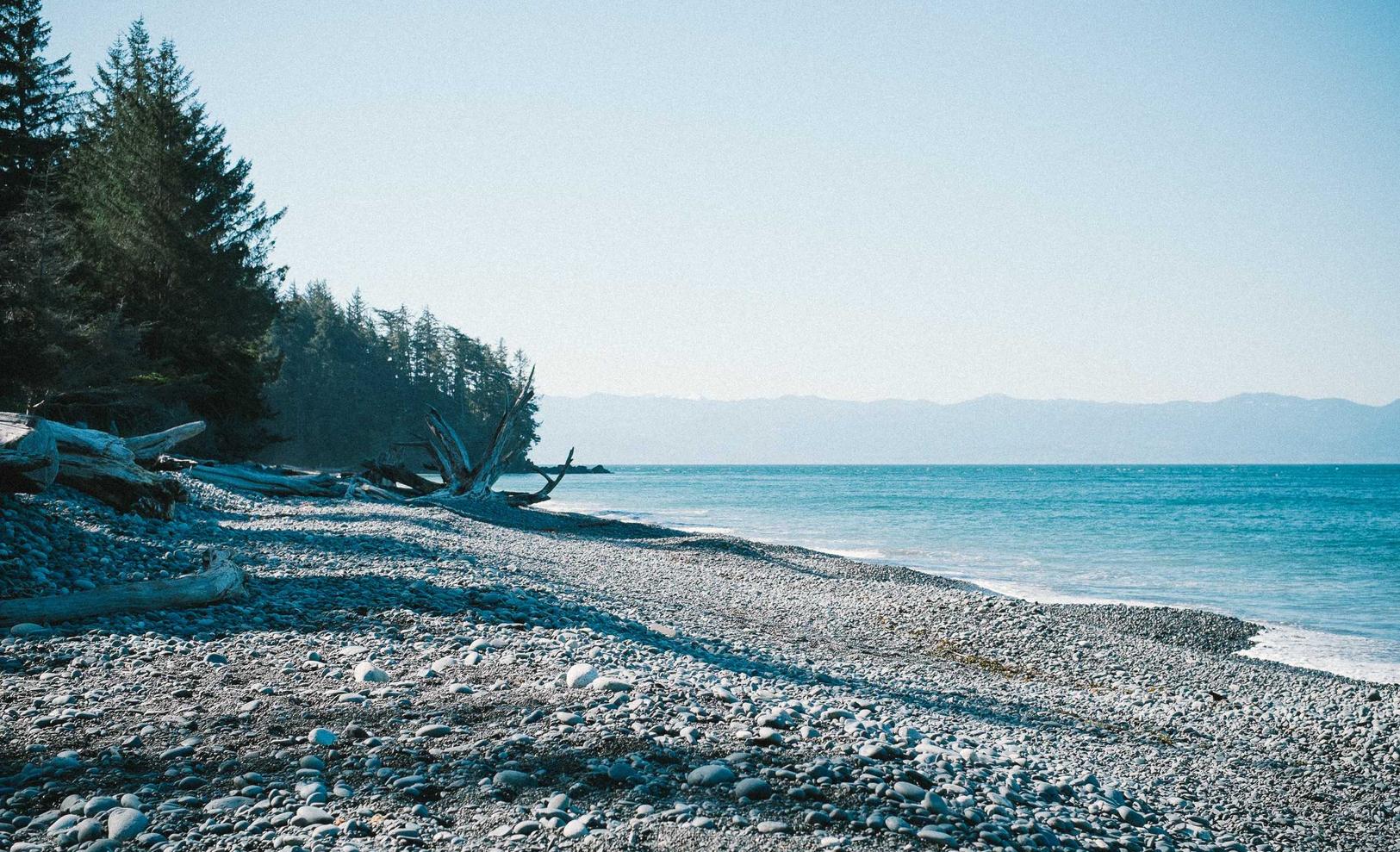 韩免铁塔猫济州岛（限定）：有道云协作app详情下载教程