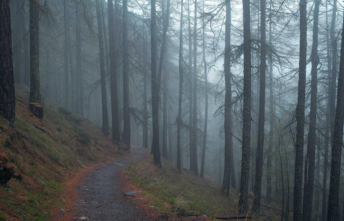 技术支持使用者的心理分析与生态破坏