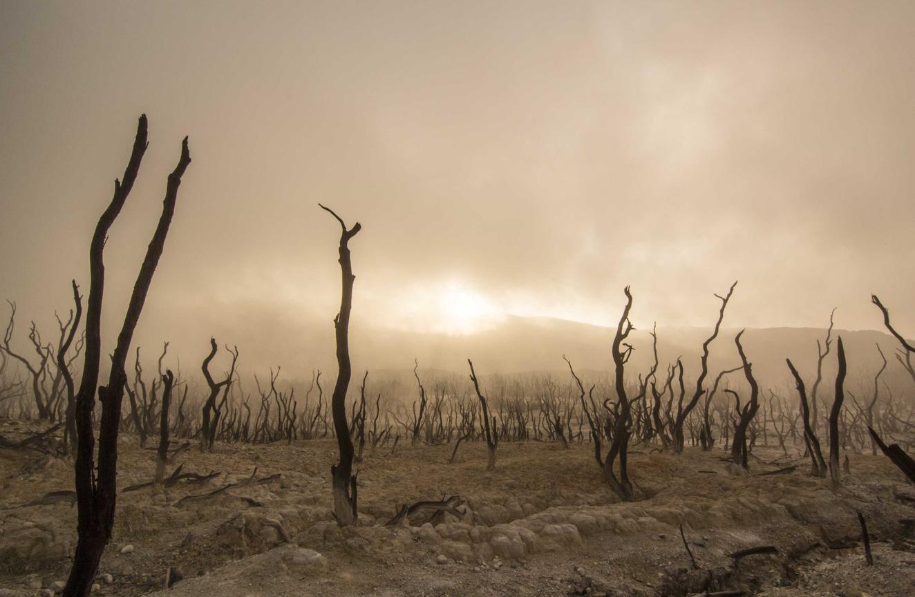 方盒万宝路柑橘爆珠：港股打新哪个平台开户