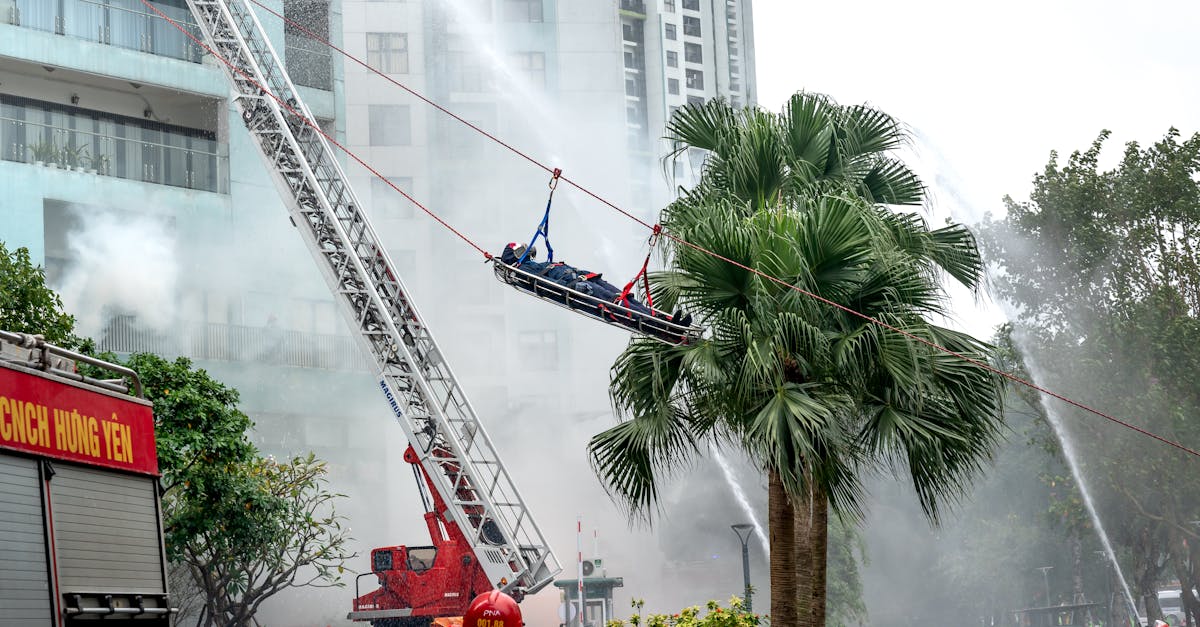 美学和哲学角度上香烟作为文化艺术的理解