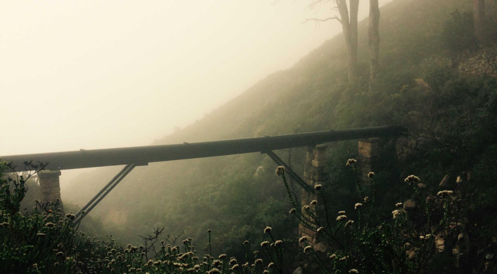 诺亚之心：盟盟同行app详情下载教程