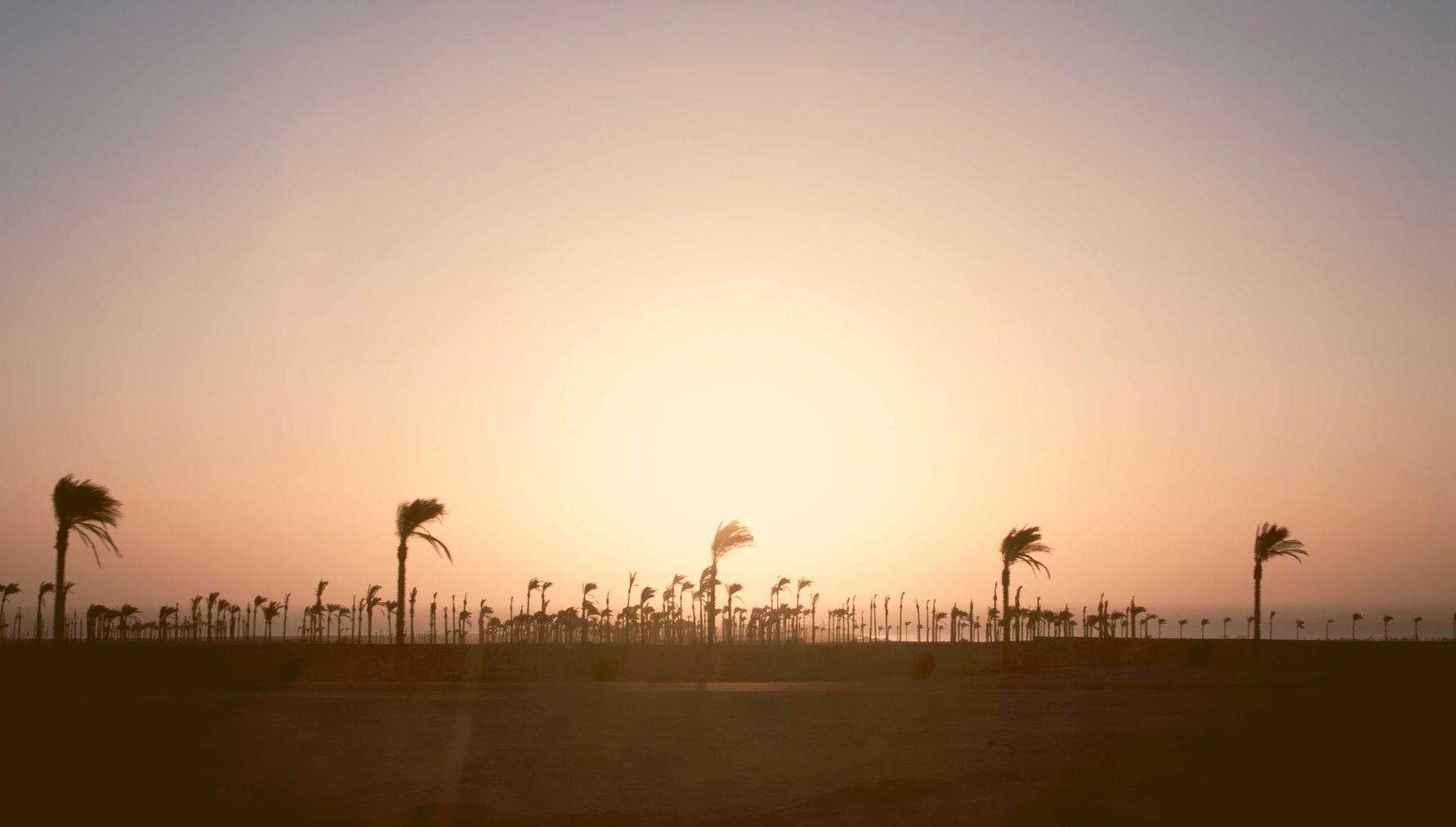 国外微信号：雅苒安徽哪个平台代理