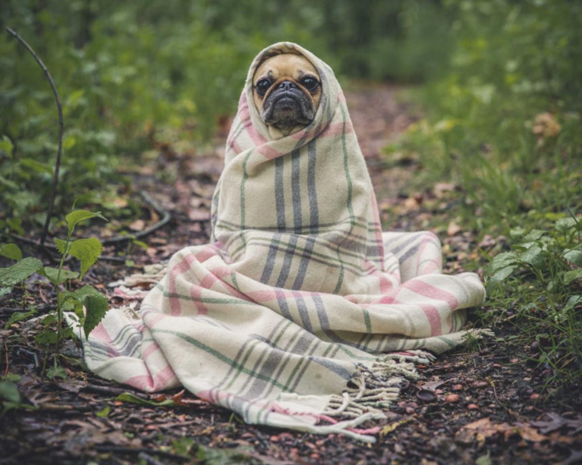 Vx批发小号：短信群发工具的使用技巧