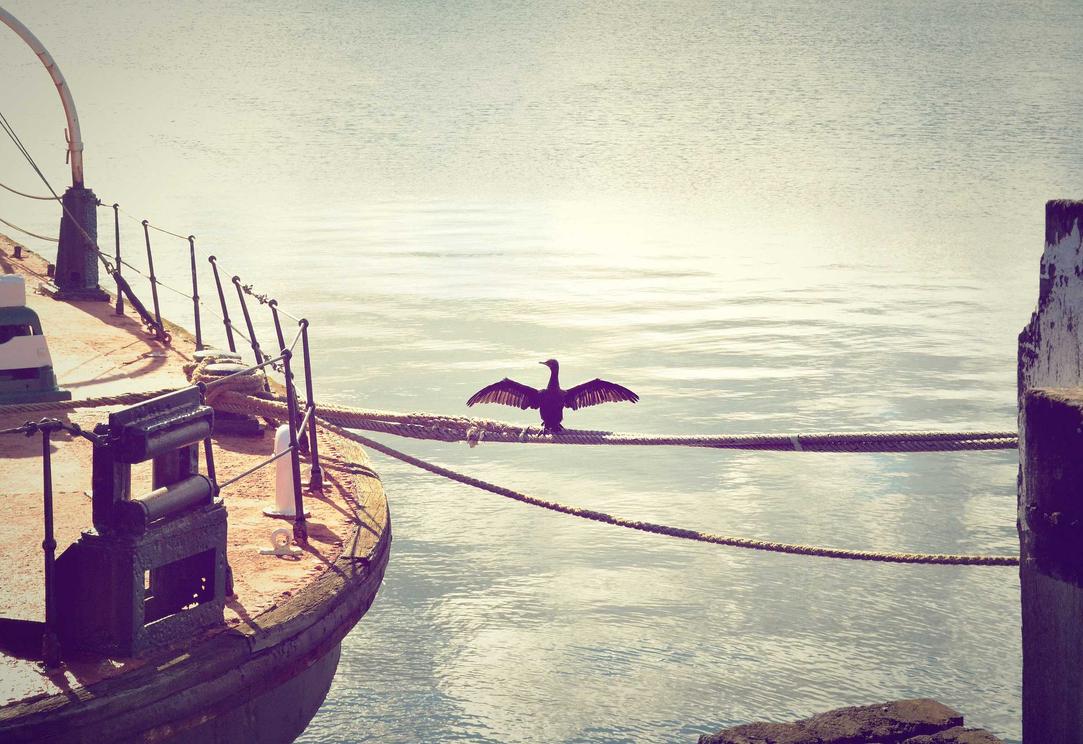 解读DDOS攻击损失- 陪我app详情下载教程