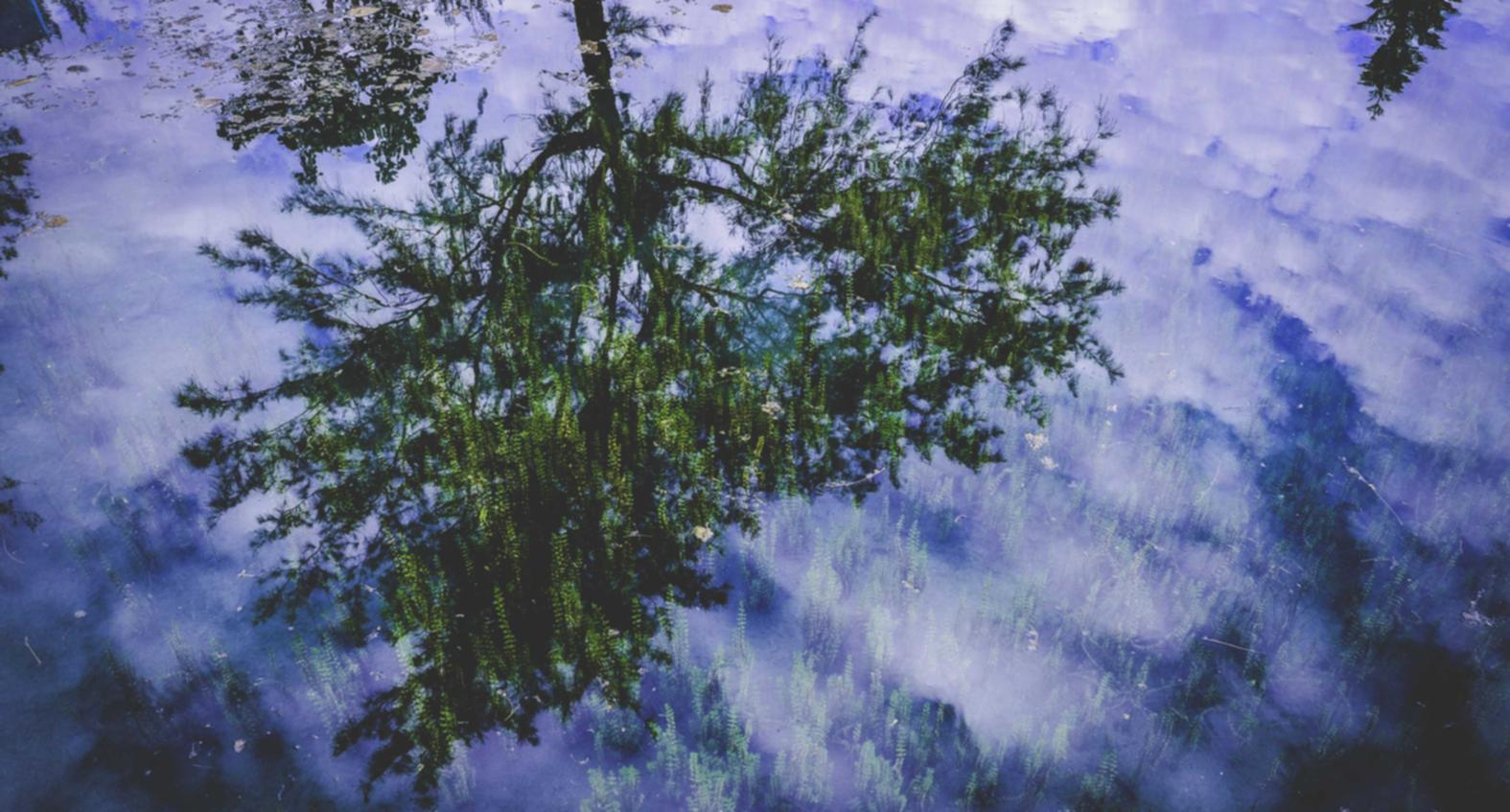 中国联通实名账号：代理注册亚马逊30万