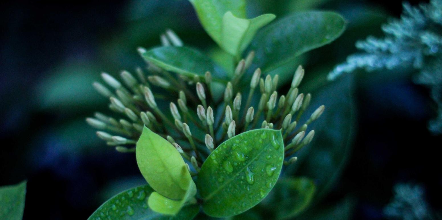 解读红客DDOS攻击台湾- 黄岛代理公司注册