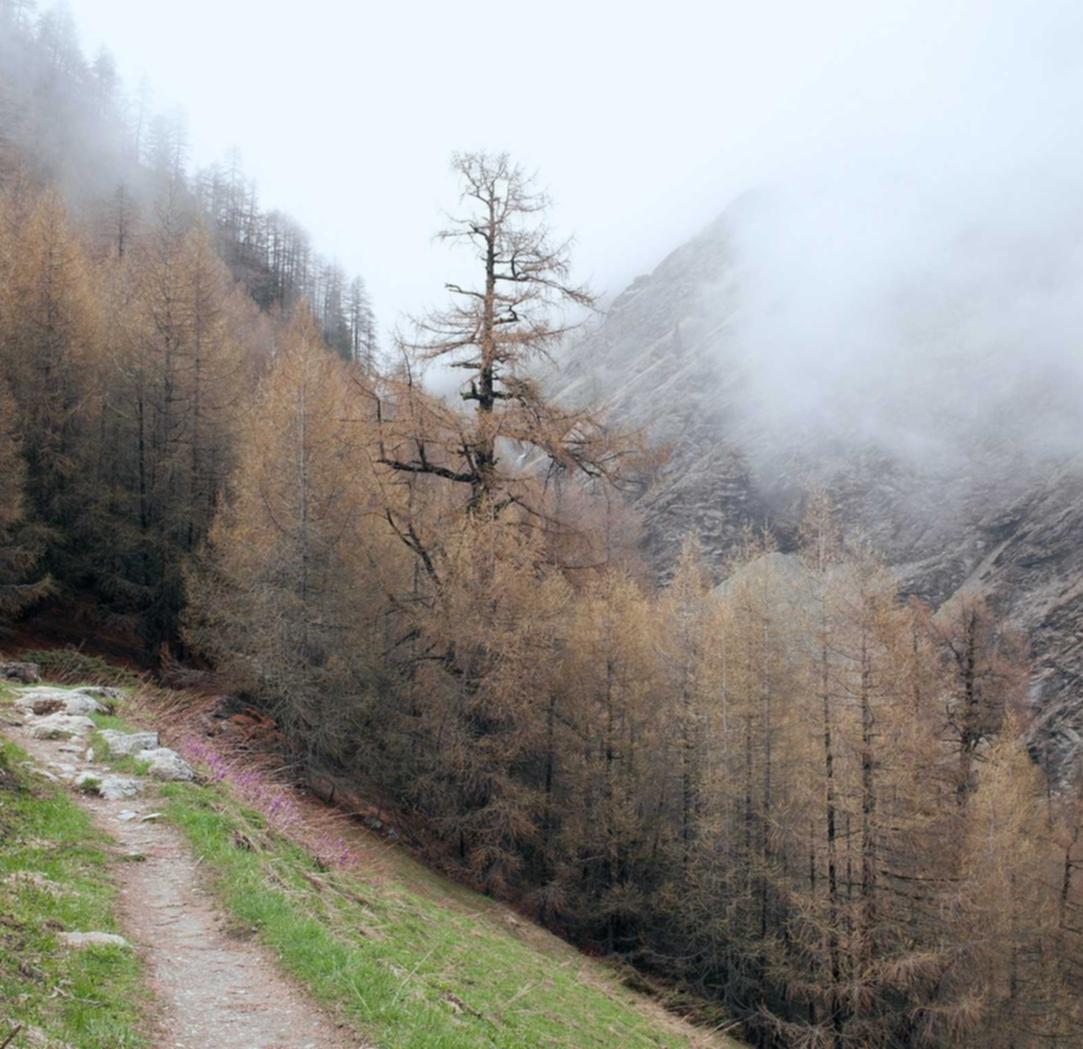 捕鱼游戏怎么申请账号注册