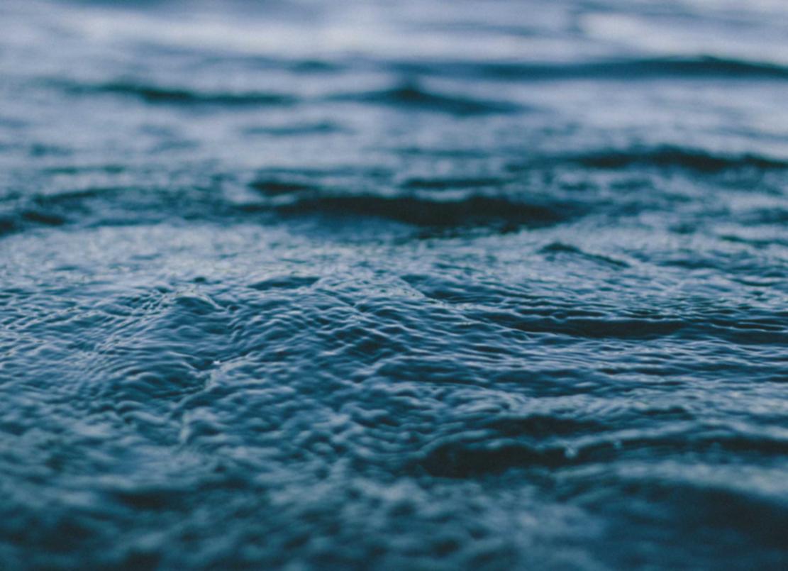 短信优惠券的设计和使用