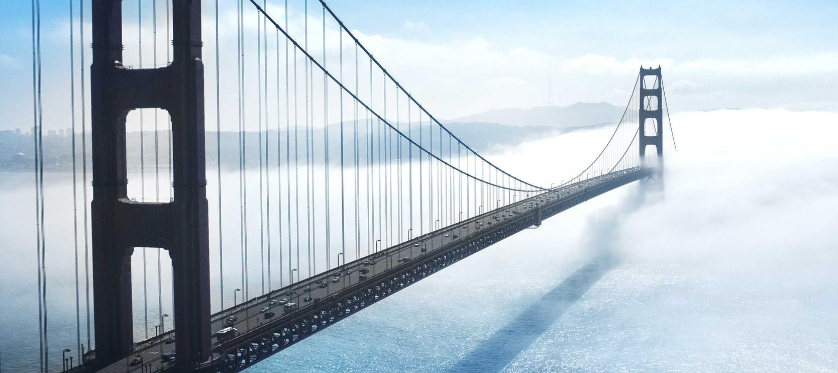 不败传说：丹东蔬菜购买平台