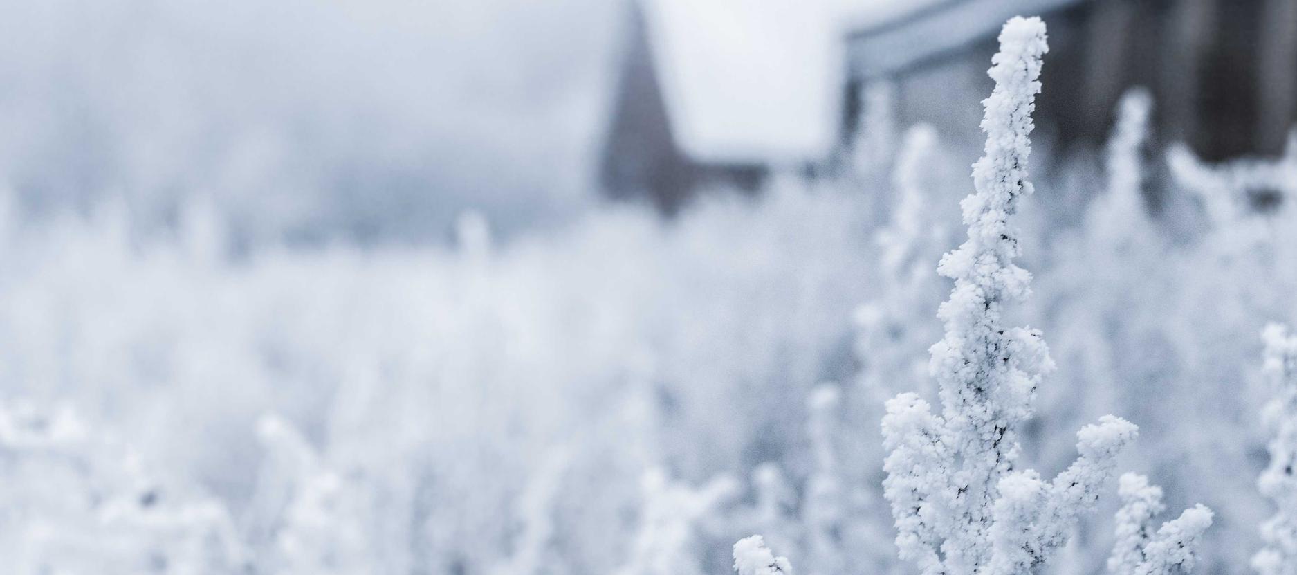 WX老号发卡网：短信发送的用户反馈如何进行分析和应对