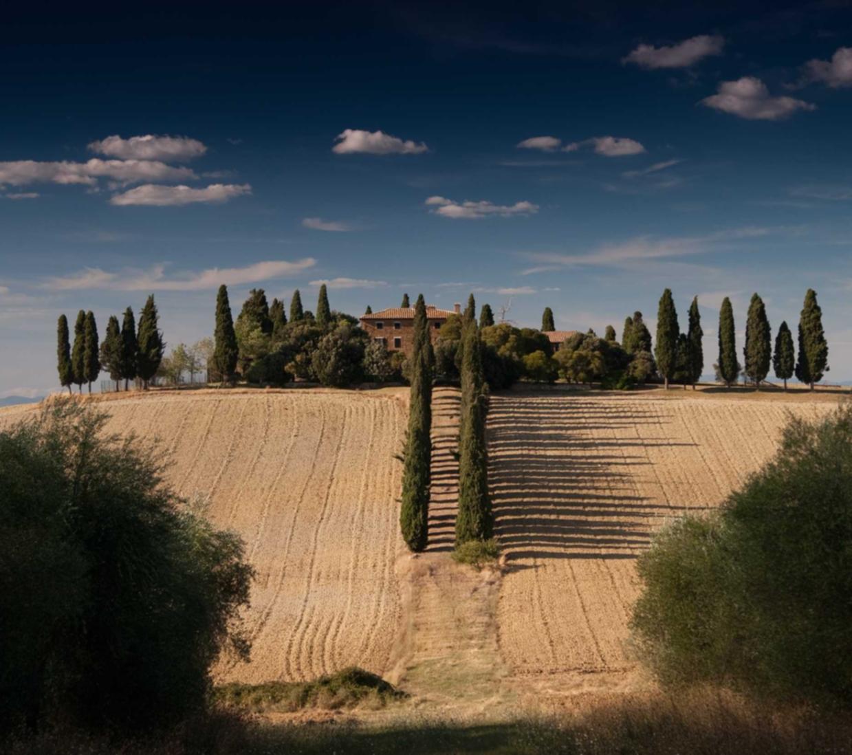 恩佐2汕头市注册代理记账代理