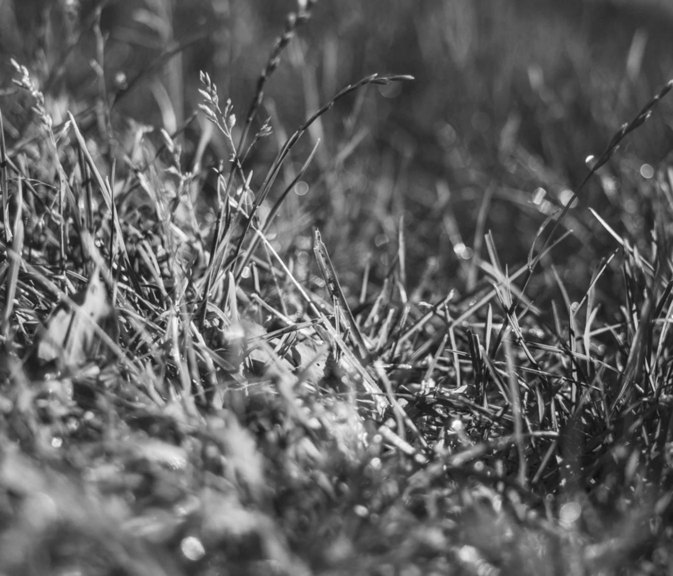 老人卡实名账号：公积金账号如何注册