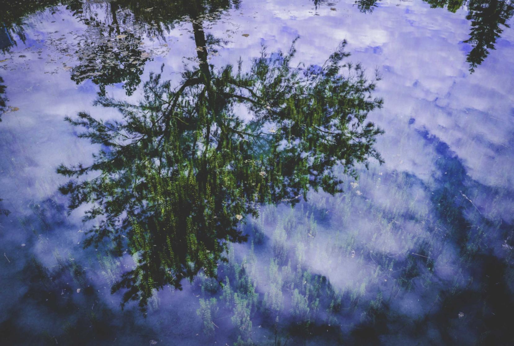 DDOS网页端平台|天水代理企业注册收费多少