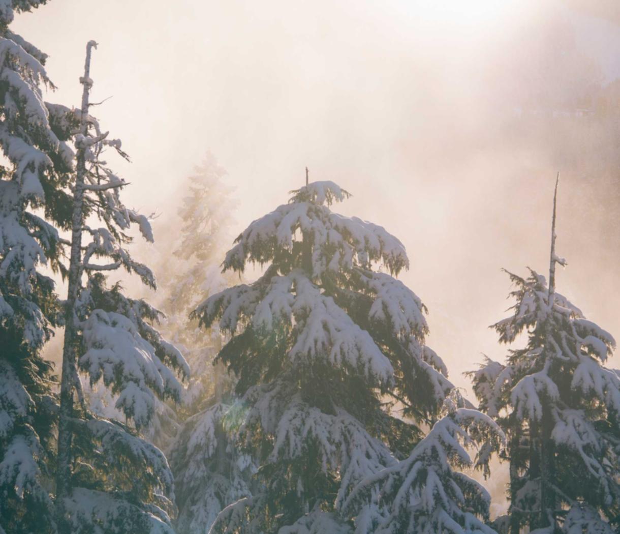 稳定的双语服务团队上家：陕西现货平台代理骗局