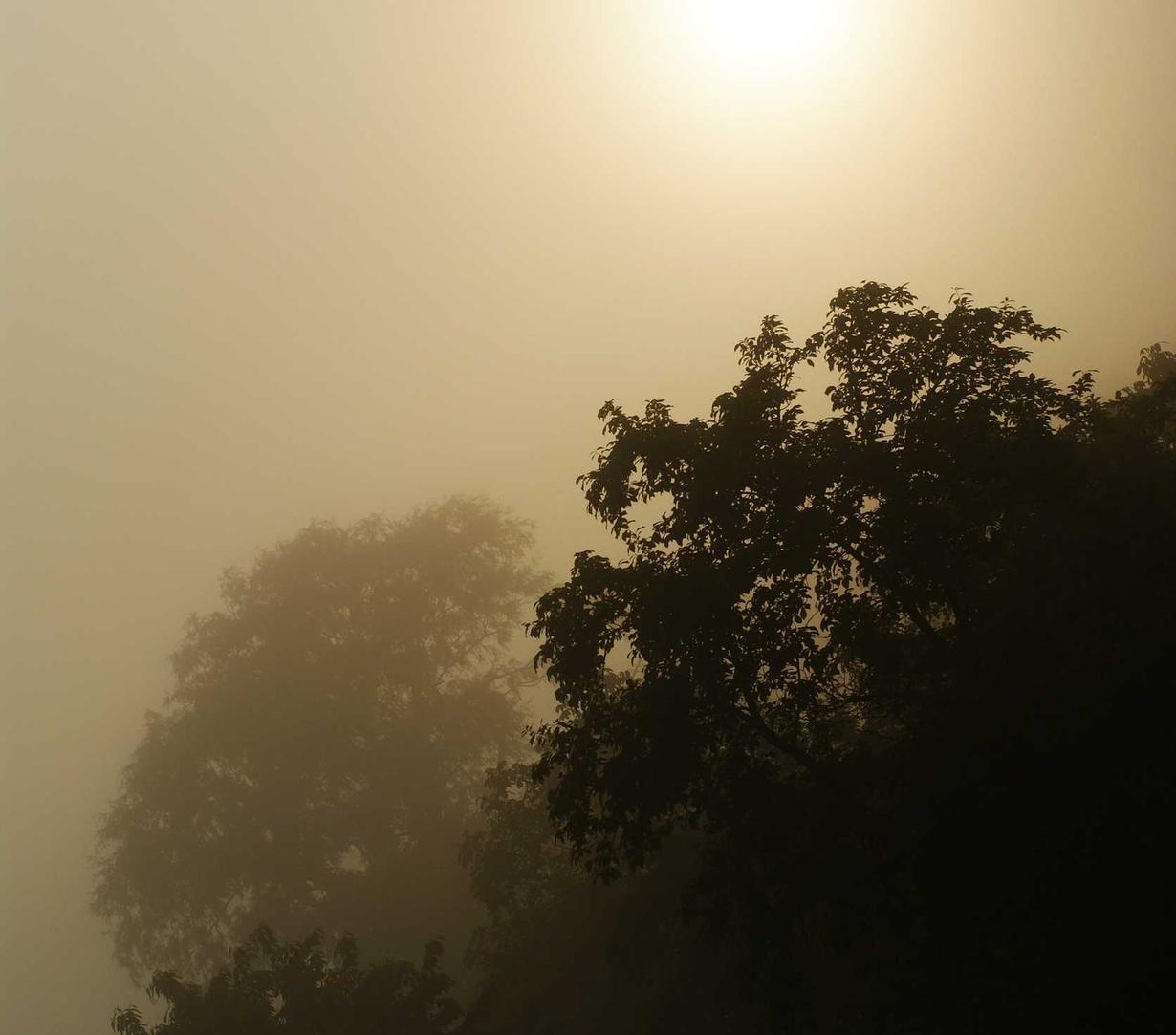 摩臣2企业营销中的移动端应用