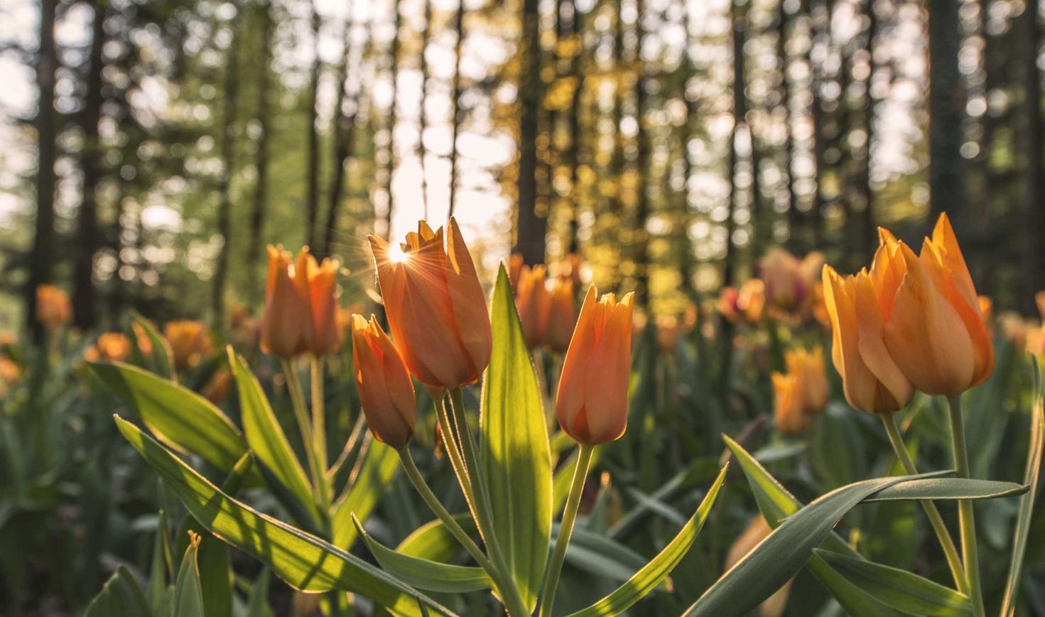 阿里通信实名账号：曹操滴滴平台代理