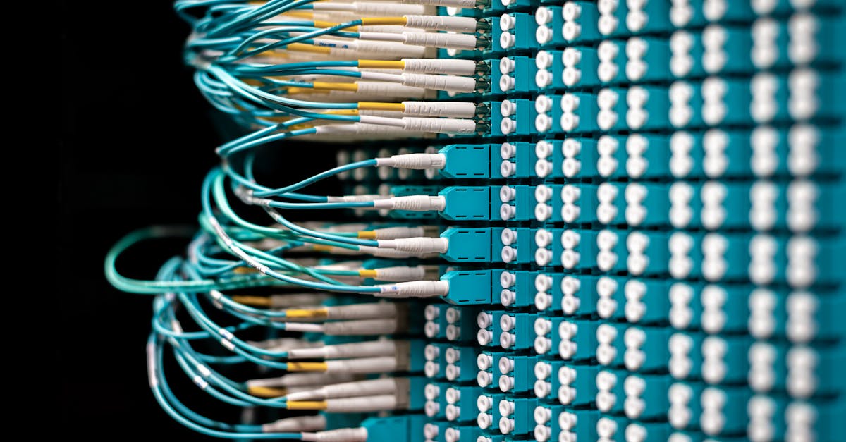 豪利时蓝莓爆珠：详情下载教程app送金