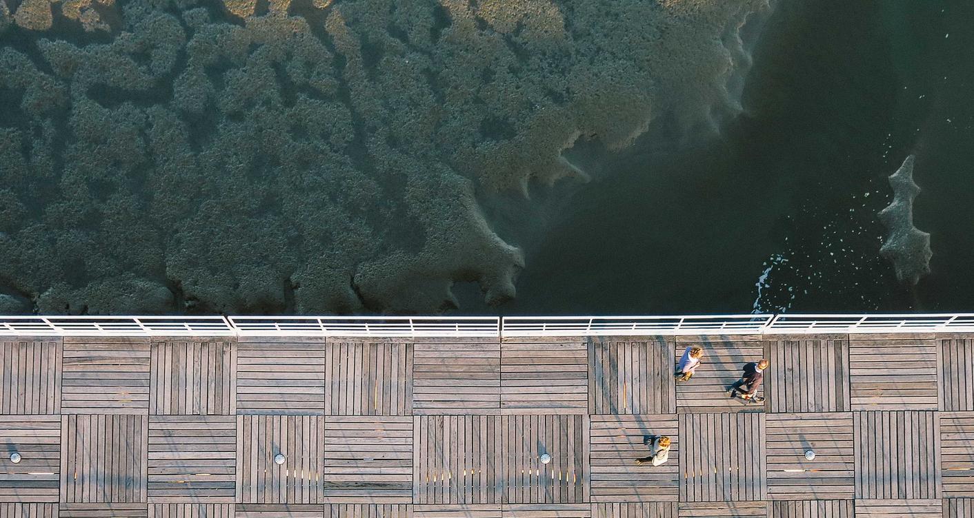 铁塔猫太阳橙子爆珠（粗）：珠海 工商注册 财务代理