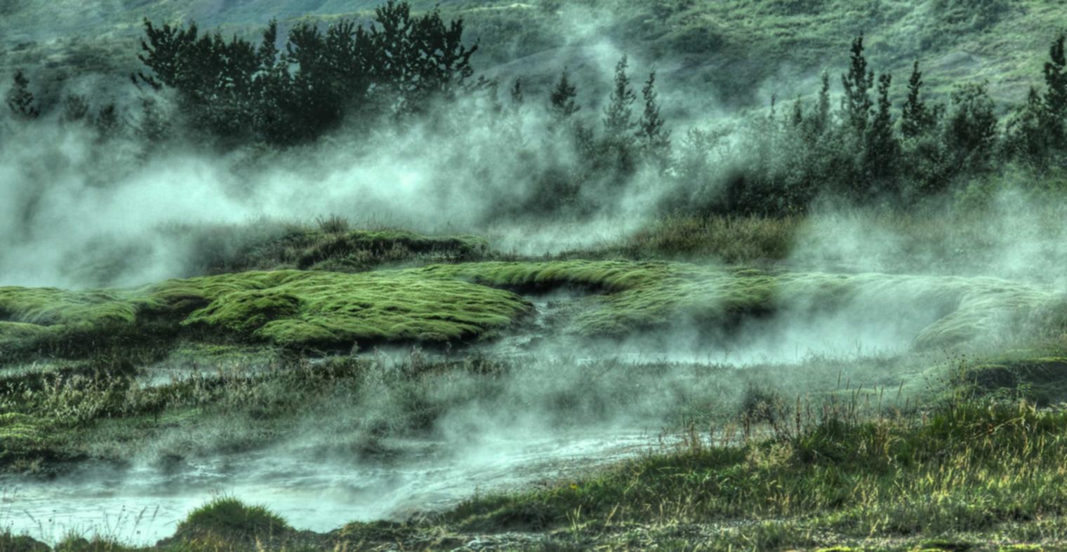 全民优打实名账号：猫咪app详情下载教程详情下载教程