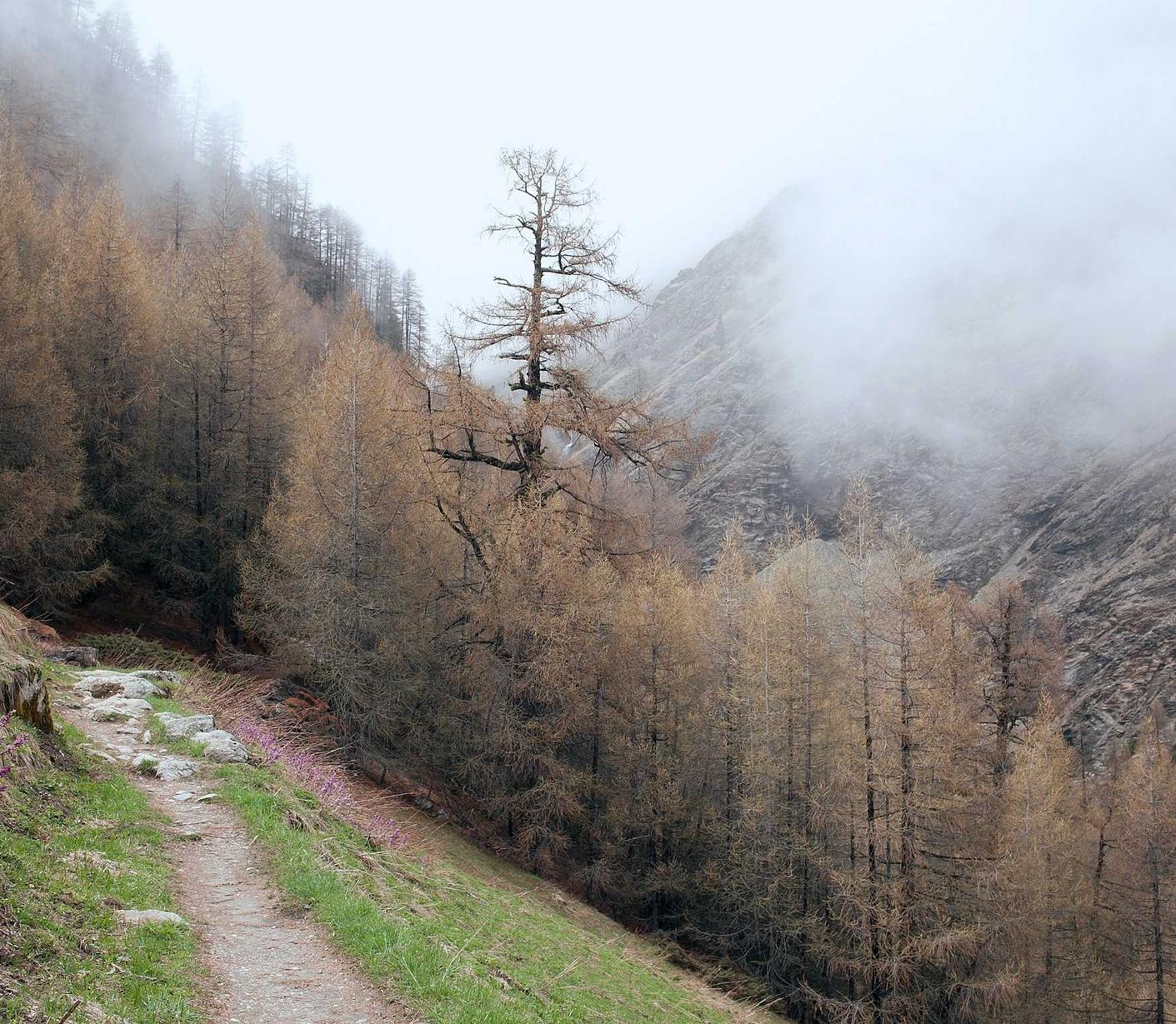 如何使用直播营销提高品牌形象