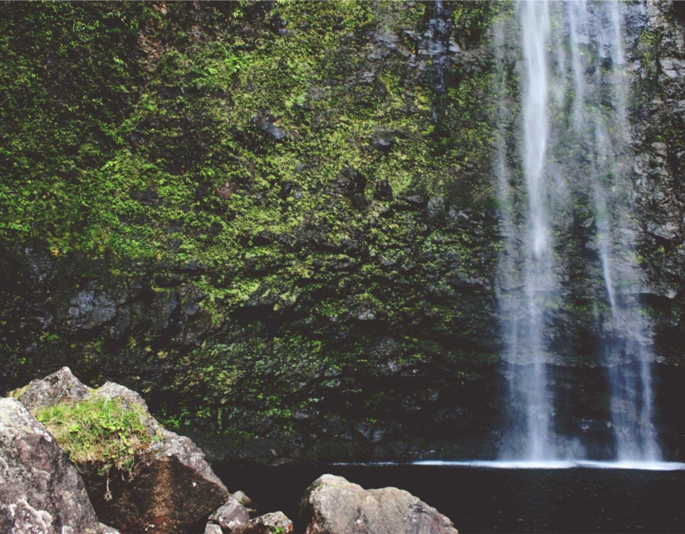 DDOS attack|重庆注册公司代理