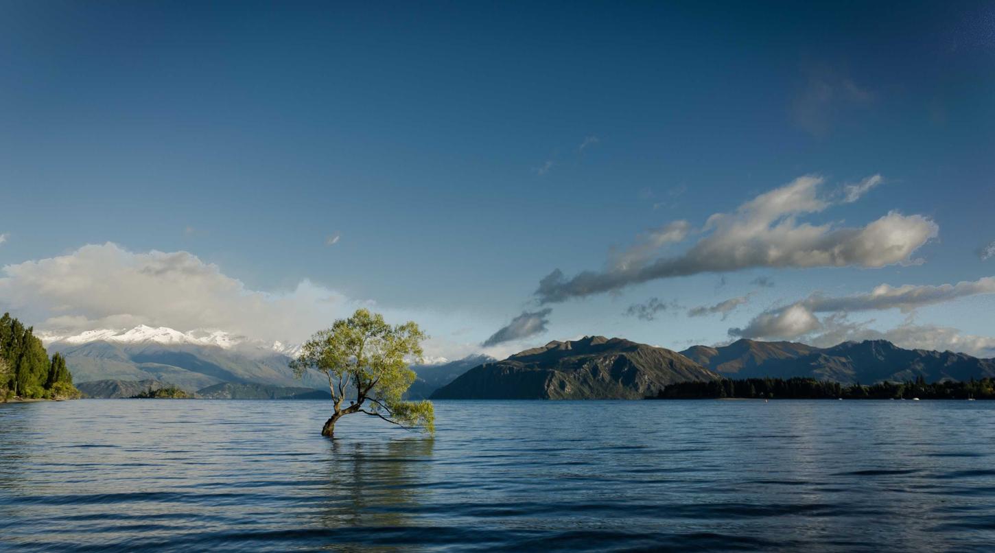 微信批发：百姓app详情下载教程安装