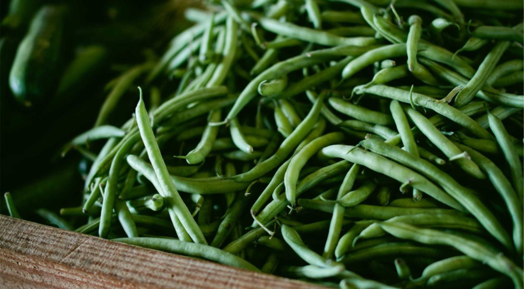 博悦epr注册代理