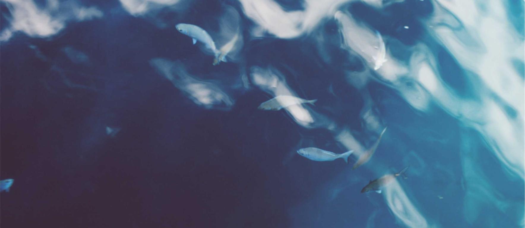 DDOS在线压力测试|水果购买平台