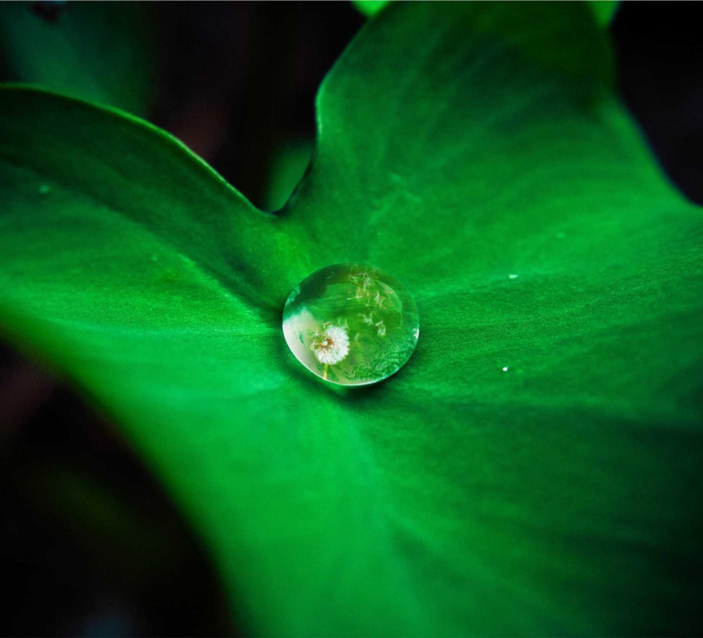 昆仑禹城代理注册服务